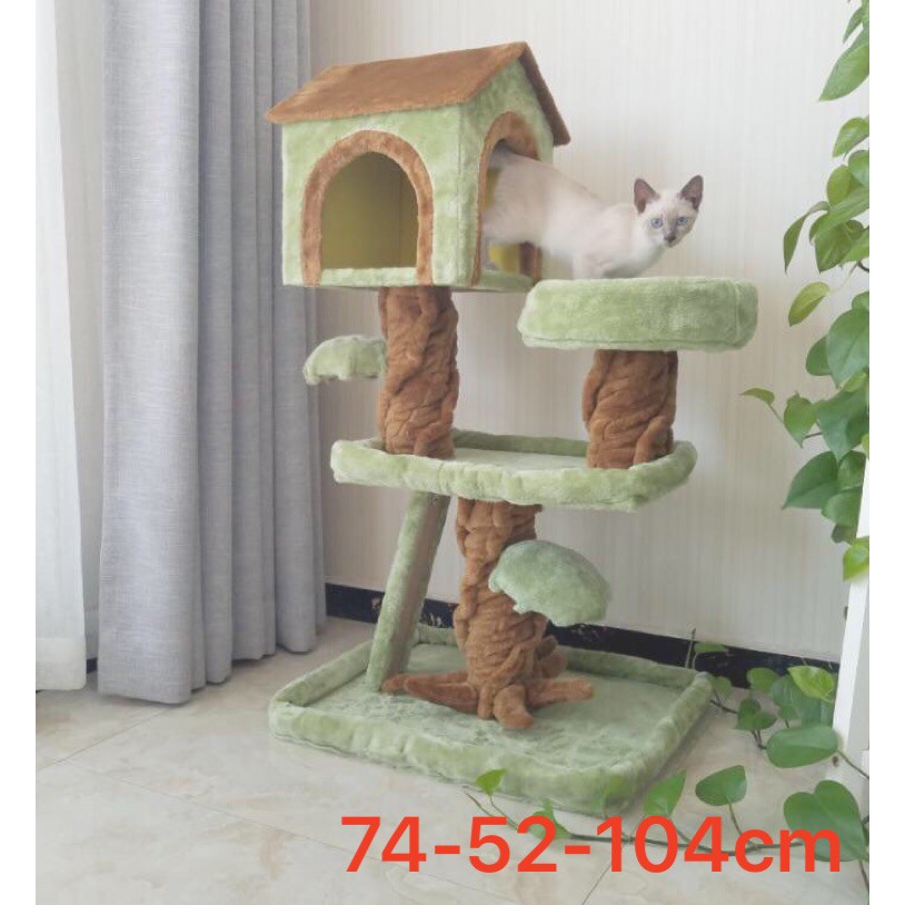 Nhà cây cattree cho mèo