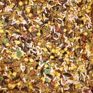 Thức ăn trộn thường cho hamster