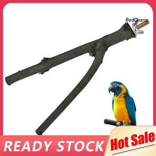 Cành cây gỗ đứng cho chim vẹt