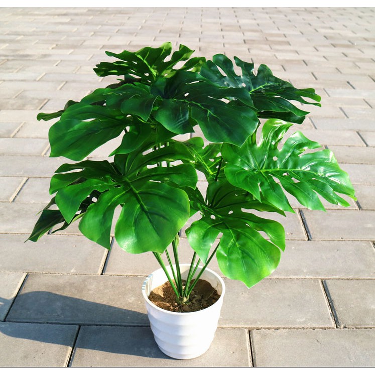 Cây hoa giả hoa nhựa monstera bonsai FL0015