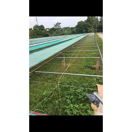 Miến dong việt cường hoá thượng gói 500gram