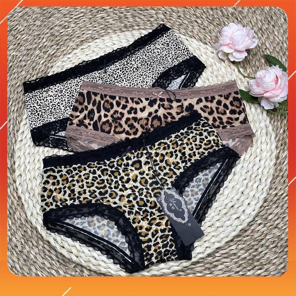 Quần lót nữ cạp vừa chất liệu cotton lạnh cao cấp họa tiết da báo sang chảnh Q2441