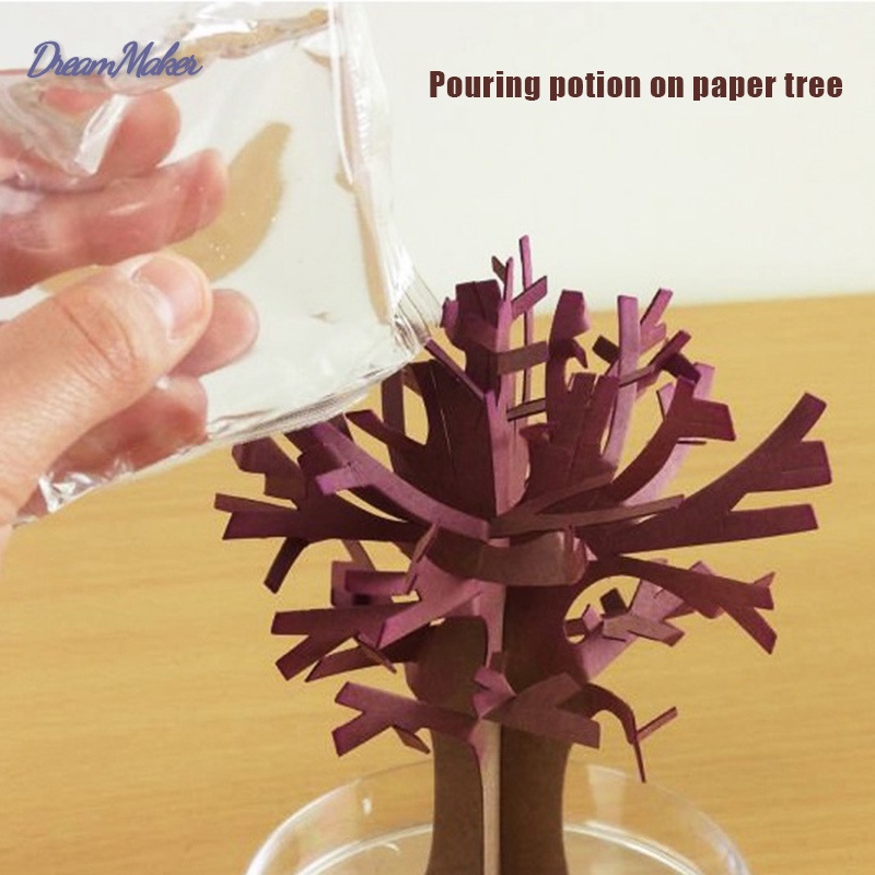 Cây giấy nở hoa anh đào thần kỳ | BigBuy360 - bigbuy360.vn