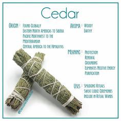 Bó tuyết tùng xông nhà cửa thư giãn tinh thần Cedar Sage Song An Eco