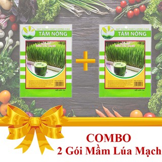 [Combo 2 Gói Hạt Giống] Mầm Lúa Mạch
