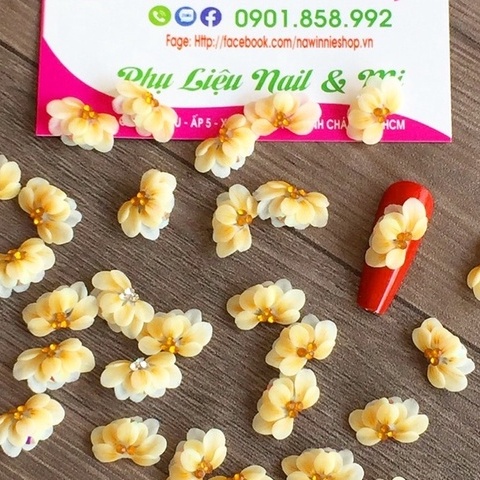 Hoa cúc nghiêng , hoa bột [ 12k/1cái ]