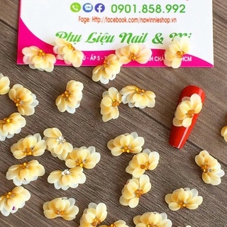 Hoa cúc nghiêng , hoa bột