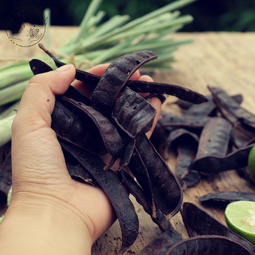 Bồ kết trái khô 20g-100g