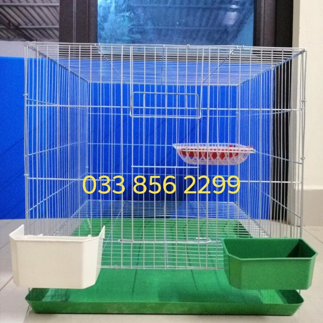 Combo lồng đơn nuôi chim đủ phụ kiện tốt