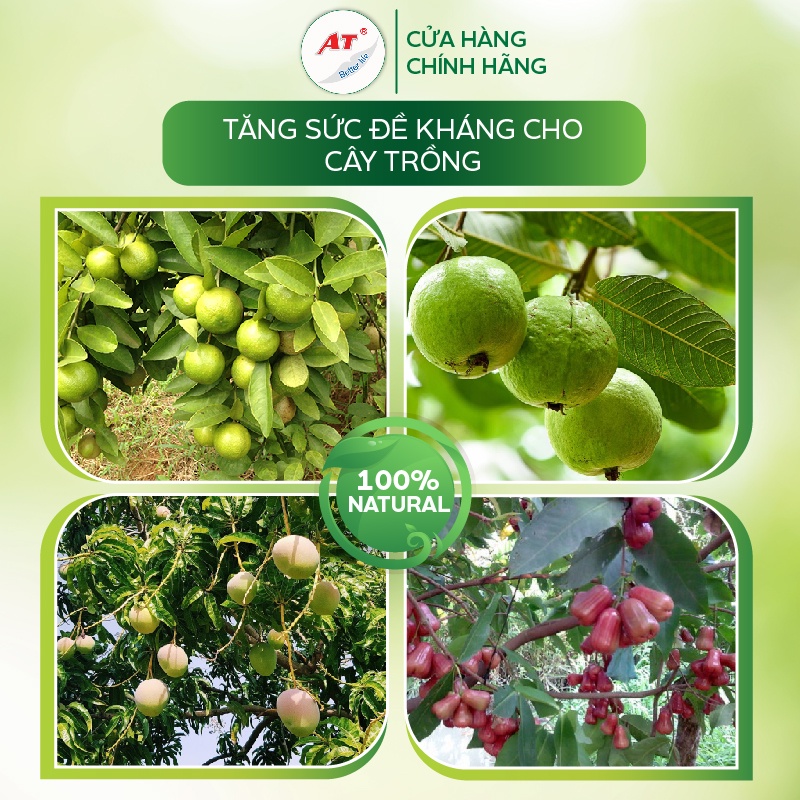Nano Elicitor 250ml diệt khuẩn AT siêu kích kháng virus chống xoăn ngọn thể khảm trên rau sạch