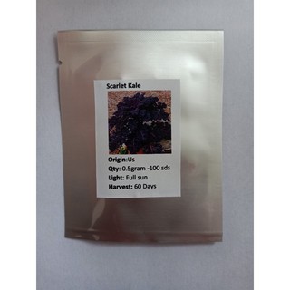 Hạt giống Kale tím