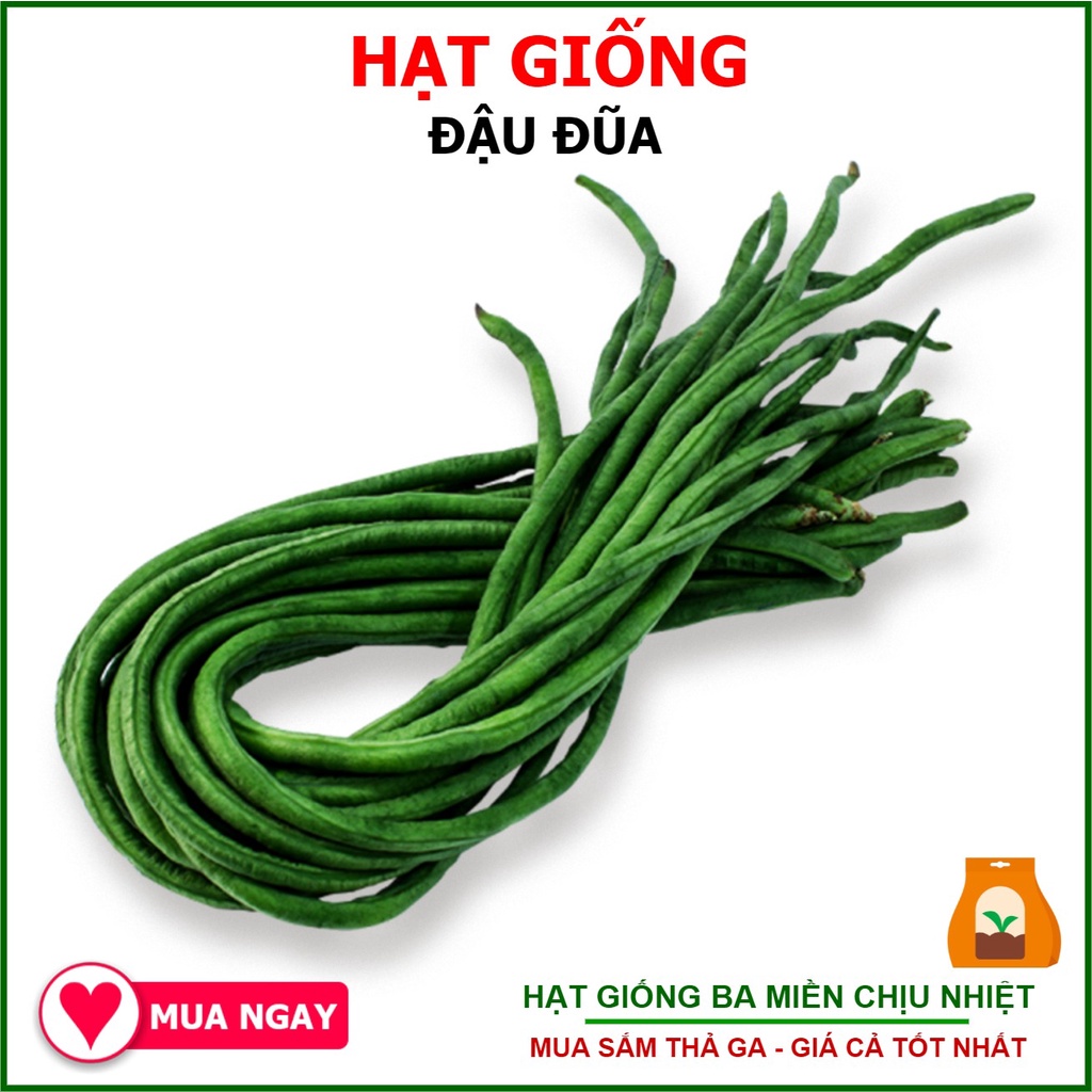Hạt Giống Đậu Đũa Hạt Đen Phú Nông Chịu Nhiệt Cực Tốt 10gram