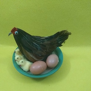 Đàn gà mô hình