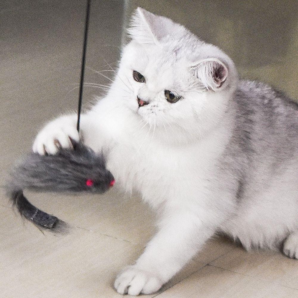 Gậy Đồ Chơi Tương Tác Gắn Cửa Hình Chuột Giả Có Thể Thu Gọn Vui Nhộn Cho Mèo Cưng