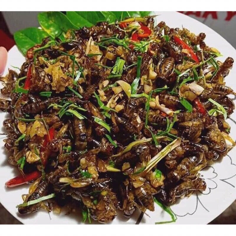 Dế mèn rang sấy khô 50g ảnh minh hoạ