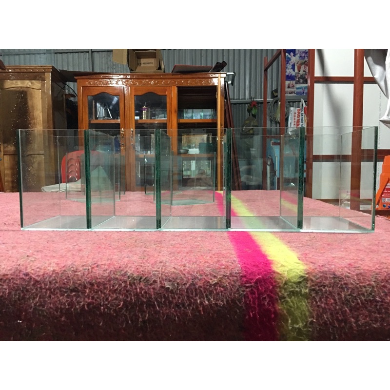 Hồ cá betta,lia thia,guppy