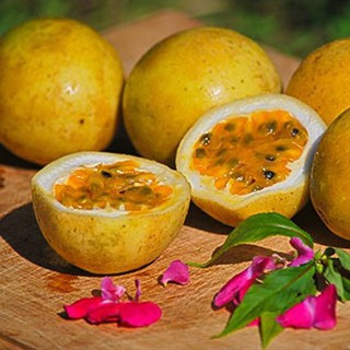 Hạt giống chanh leo vàng ngọt Mỹ - 5 hạt