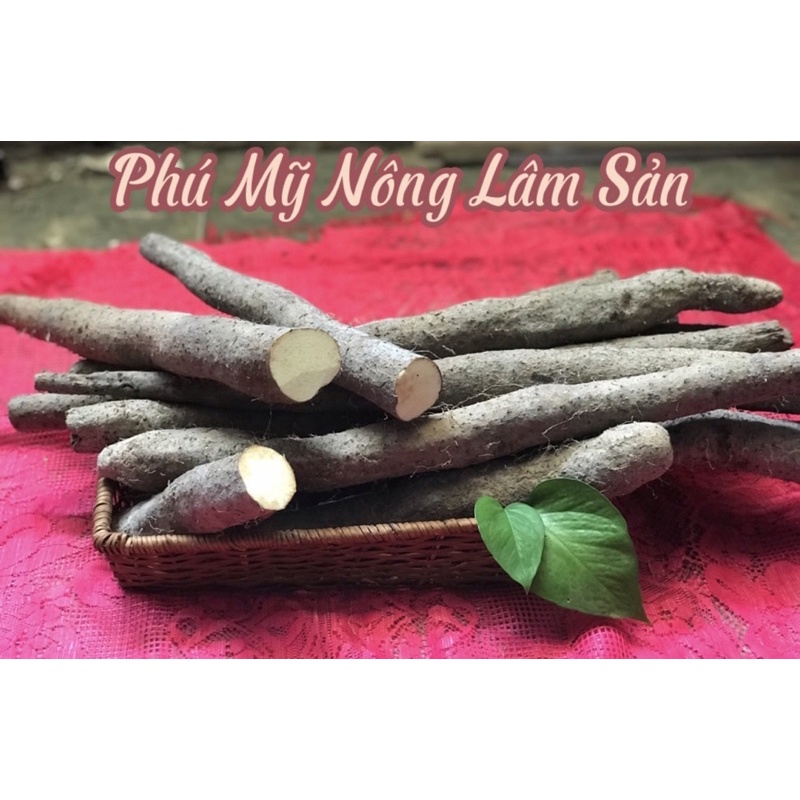 Củ Hoài Sơn Tươi (Khoai Mài Tươi) 1kg được chứng nhận GLOBAL G.A.P- Hàng thật- Giá tốt nhất thị trường