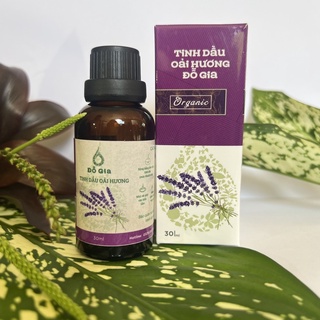 TINH DẦU XÔNG PHÒNG, XỊT PHÒNG