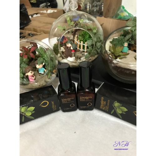 TINH DẦU DƯỠNG TÓC MACADAMIA NUT OIL 50ML. Rin Chan Store