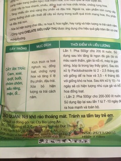Ra hoa đồng loạt