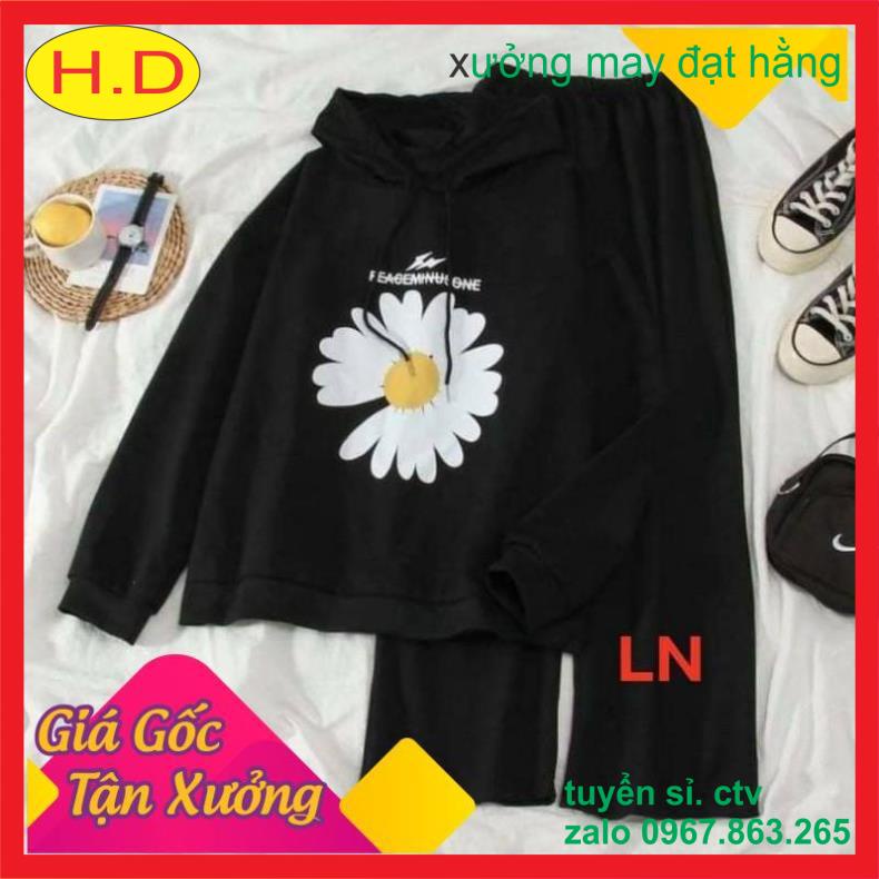 Sét bộ nam nữ áo HOODIE hoa cúc tia sét + Quần ống rộng unisex