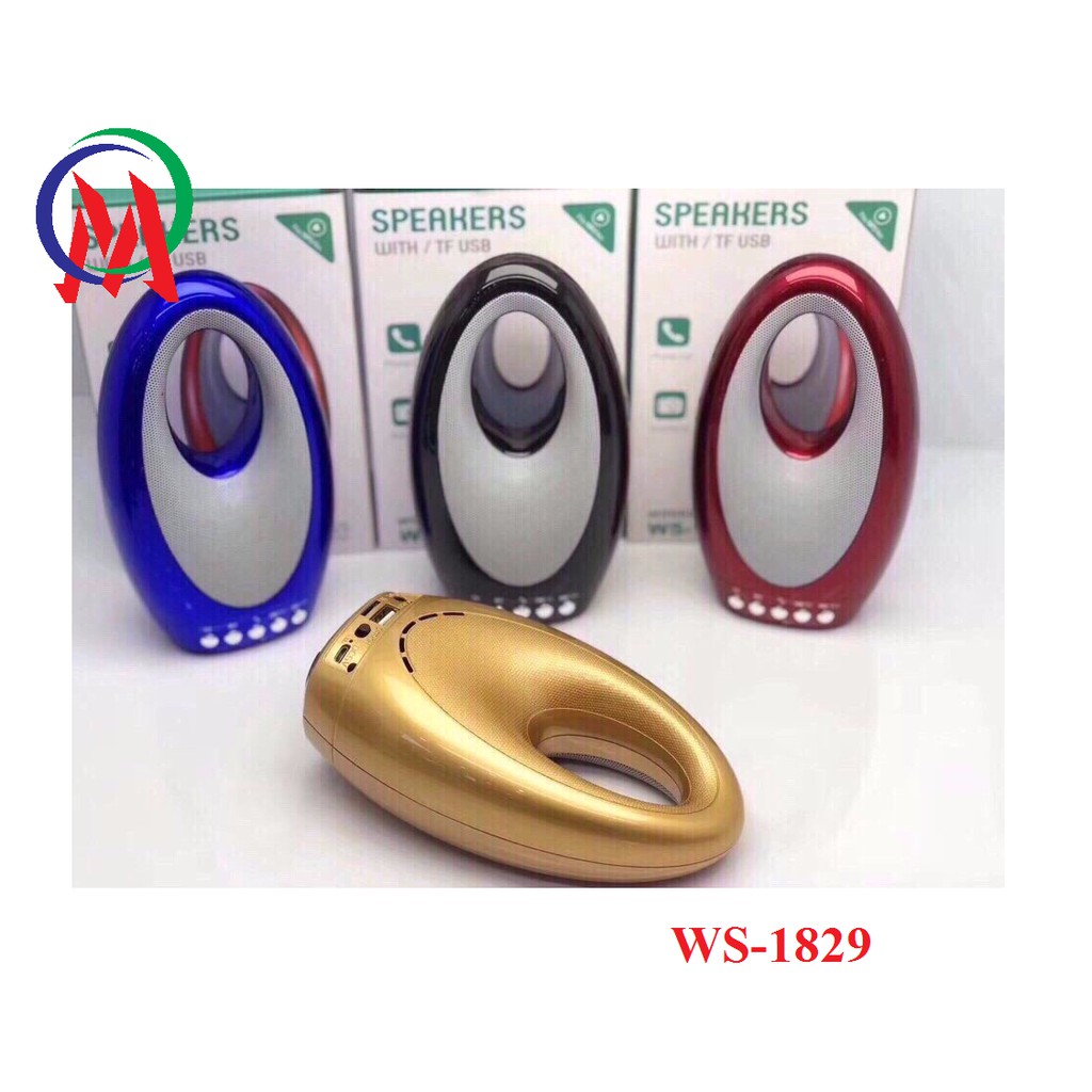 Loa Bluetooth WS-1829