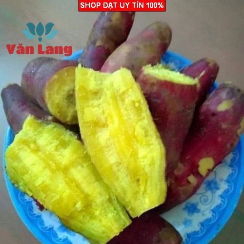 1kg Khoai lang vỏ đỏ lòng vàng siêu ngon, ngọt, bở tơi