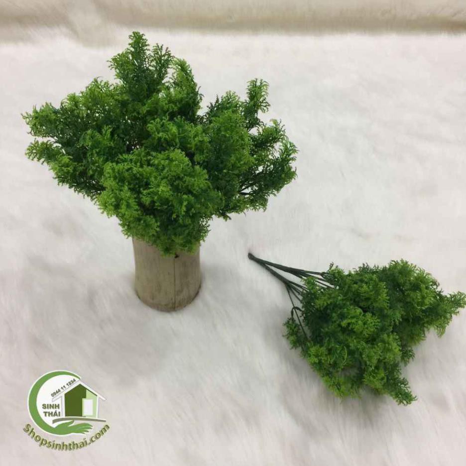Cây rong rêu giả màu xanh