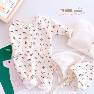 Body dài Hàn Quốc kèm mũ chất cotton sợi tre