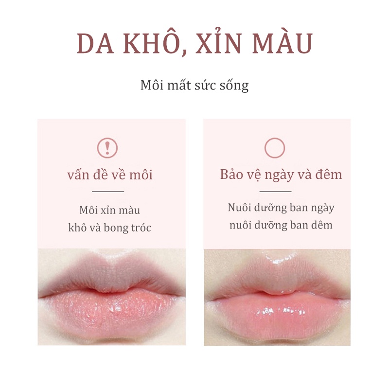 Dầu dưỡng ẩm chăm sóc môi , dưỡng ẩm son dưỡng môi, nước bóng, làm mờ môi 5ml TUZ-RCY