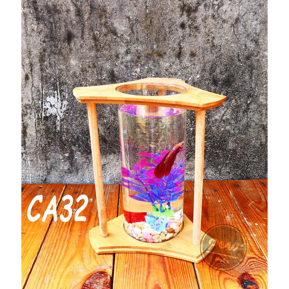 Bể cá mini trụ gỗ tặng sỏi và cây