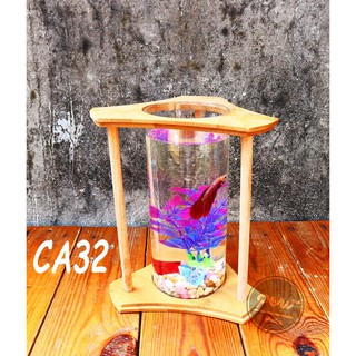 Bể cá mini trụ gỗ tặng sỏi và cây