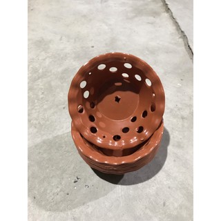 Combo 10 chậu nhựa giả đất bèo đường kính 20 cm