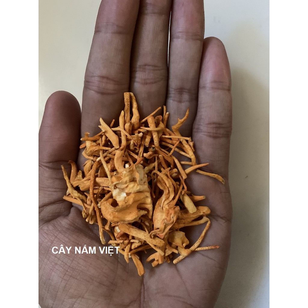 50g Đông Trùng Hạ Thảo khô loại vụn sấy thăng hoa - Cây Nấm Việt | BigBuy360 - bigbuy360.vn