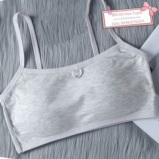 Áo lá học sinh có mút mỏng