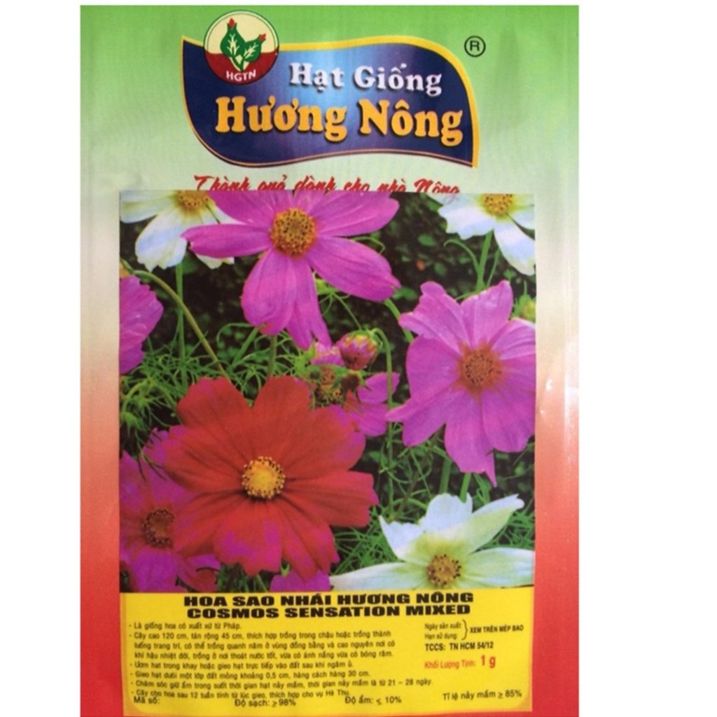 hạt giống sao hoa nhái kép nhiều màu gói 1gr /100hạt