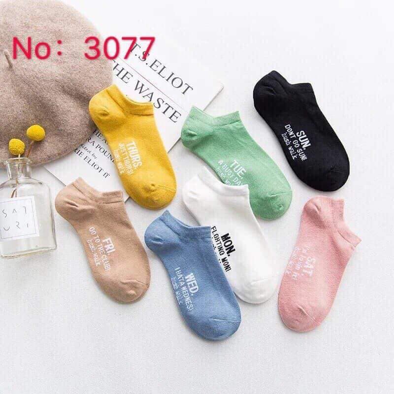 Hộp tất tuần 7 ngày