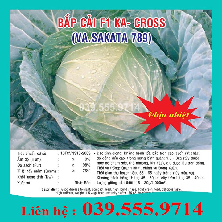 Hạt Giống Bắp Cải F1 KA-CROSS ( Gói 1Gram), TỶ LỆ NẢY MẦM CAO