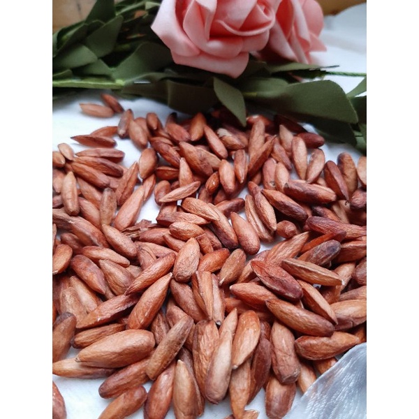 Hạt Bàng Sấy Khô