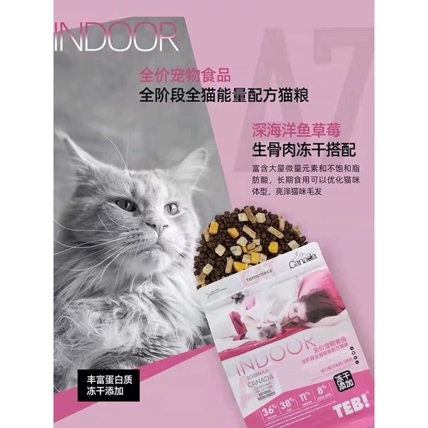 Hạt cho mèo con Teb A thức ăn khô cho mèo tăng cân mix thịt sấy khô NourseVietnam