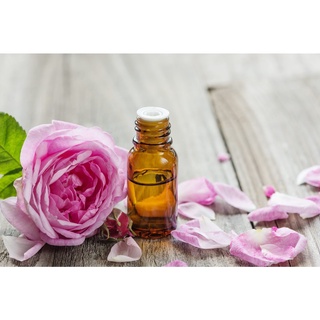 HƯƠNG HOA HỒNG (ROSE FR)