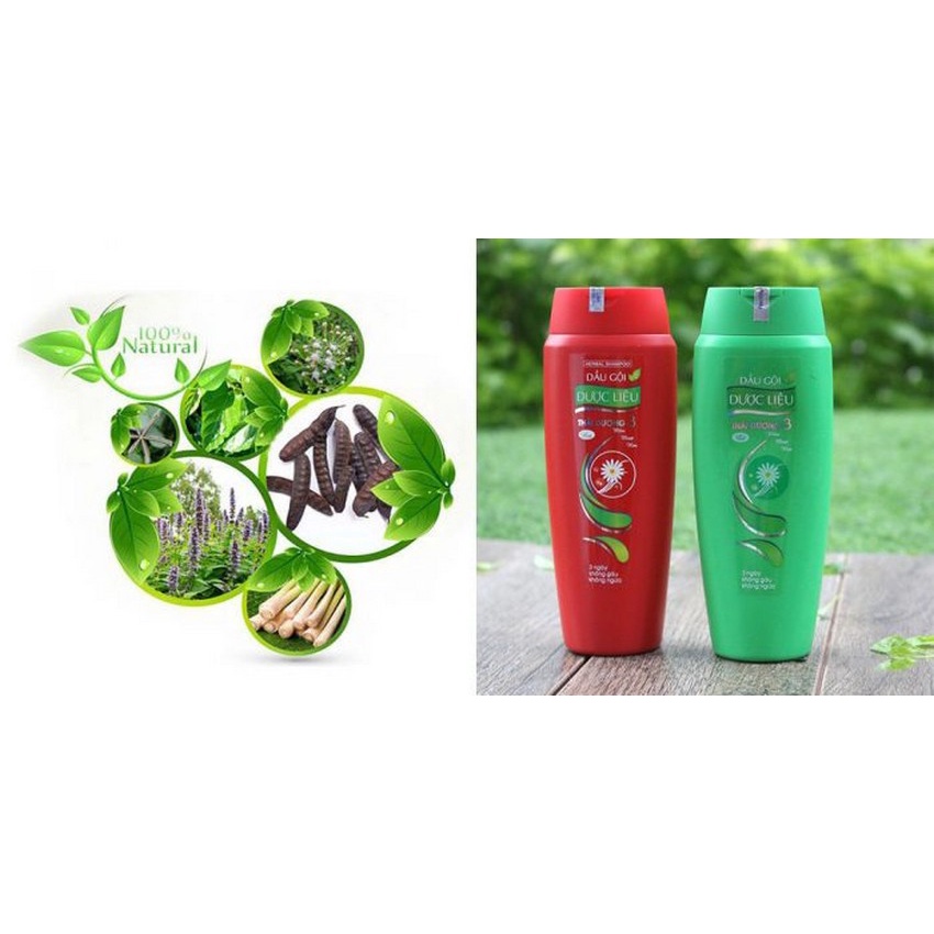 Dầu Gội Đầu Thái Dương 3 Ngắn Ngừa Gàu Hương Hoa 600ml BM15 Bù Đắp Hư Tổn Cho Tóc - Bảo Minh Pharmacy