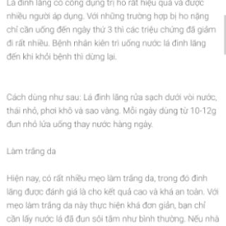 Com bo 5 cay giống đinh lăng