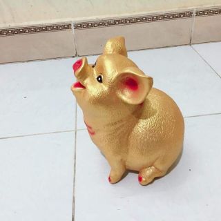Heo đất tiết kiệm