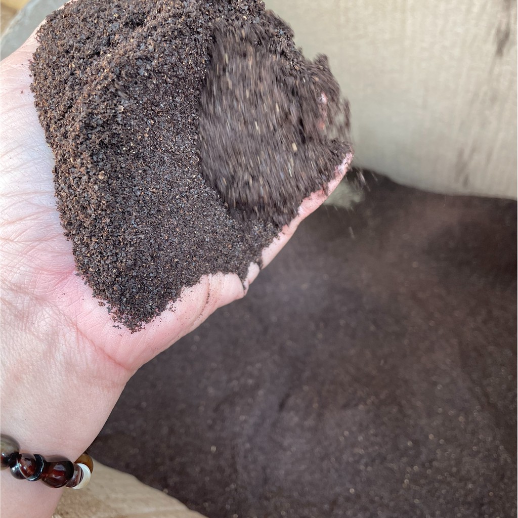 Bán sĩ 500GR Bã Cà Phê Khô | BigBuy360 - bigbuy360.vn