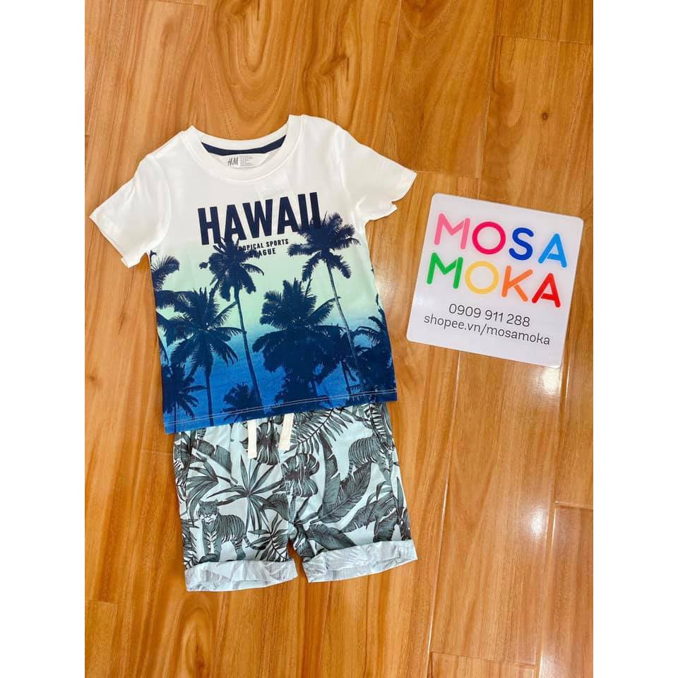 Quần short hoa lá navy Hm auth