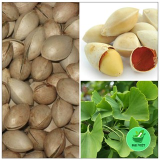 Bạch quả [1KG] khô - DV113
