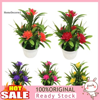 Bộ Chậu Hoa Sen Nhân Tạo Bằng Nhựa Dùng Để Trang Trí Độc Đáo