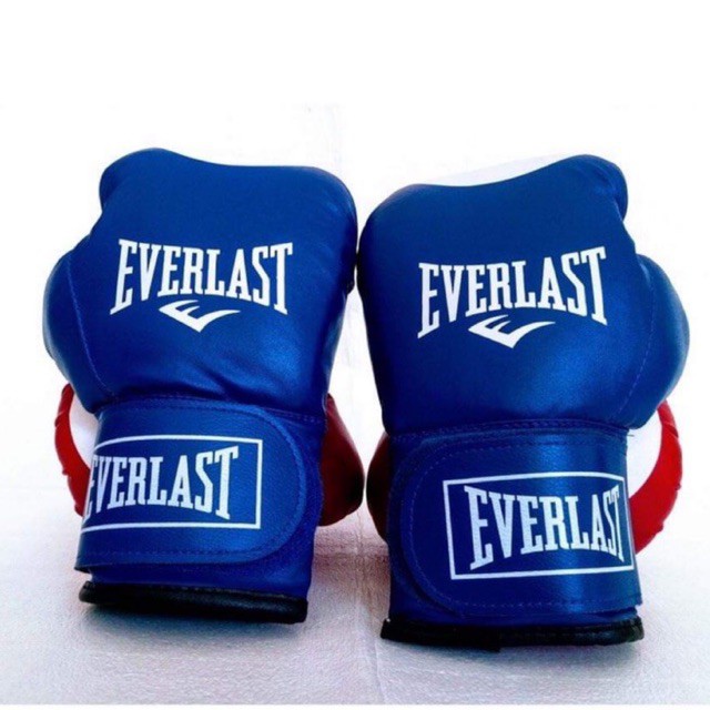 [FREESHIP] Găng Tay Quyền Anh /găng Tay Boxing /găng Tay Tập Võ Everlast ⚡LOI59 SPORTS